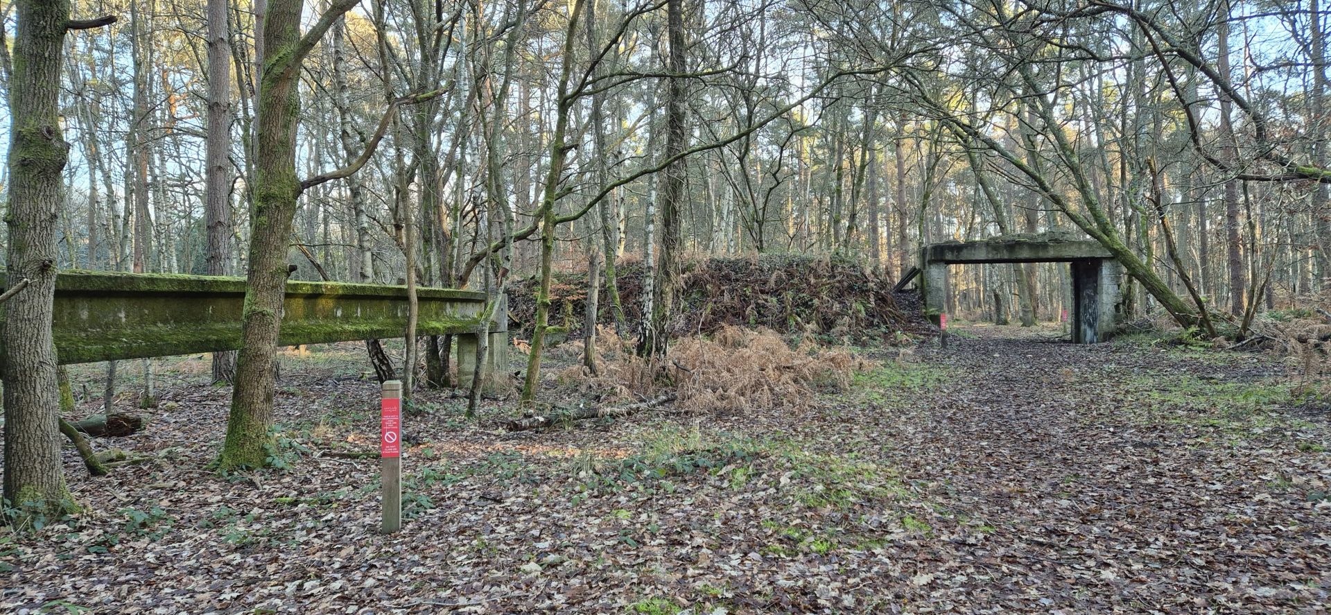 MOD structures on Hartland